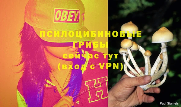 стафф Алексеевка