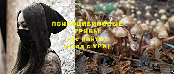 стафф Алексеевка