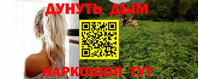 индика Кузнецк