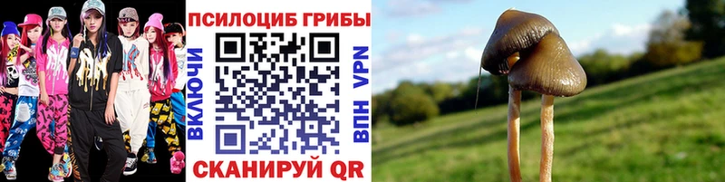 цена наркотик  Лабинск  Галлюциногенные грибы Psilocybine cubensis 