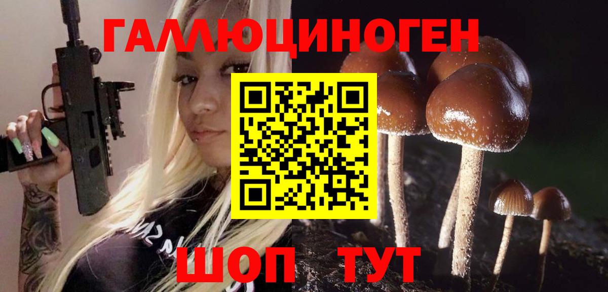 Псилоцибиновые грибы GOLDEN TEACHER  Вход с VPN  Лабинск  Псилоцибиновые грибы мицелий 